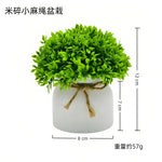 plante artificielle feuilles pointues vert clair moderne ruban jute décoration intérieure maison salon ornementalité