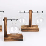 vases verre transparents plantes vertes support bois industriel décoration minimaliste