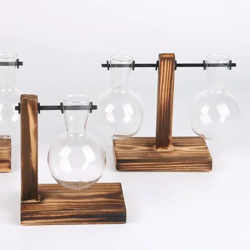 vases verre transparents plantes vertes support bois industriel décoration minimaliste
