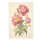 toile imprimée pivoine rose vintage décoration murale chambre salon illustration florale moderne