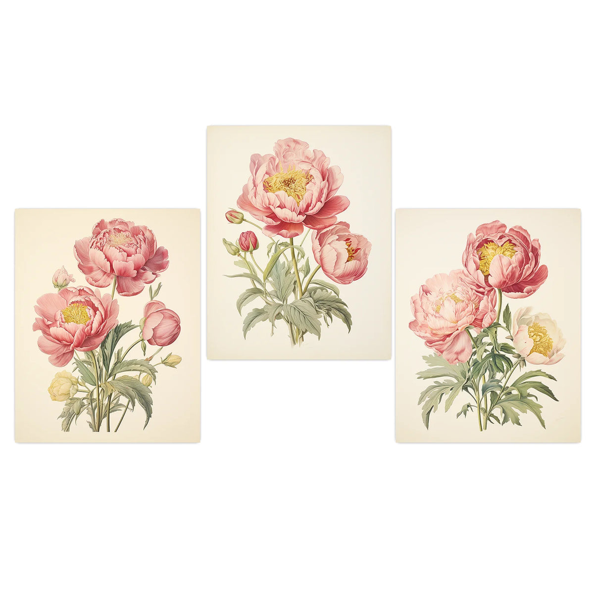 toile imprimée pivoine rose vintage décoration murale chambre salon illustration florale moderne