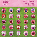 autocollants fleurs multicolores artificielles réalistes opaques paquets 25 pièces chaque journal collage decoration