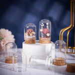 cloches verre liège transparents moderne 30x40 30x50 30x60 30x70 30x80 mm