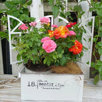 Bac fleurs métal vintage blanc vert fenêtre succulents rustic decorationintérieur jardinage