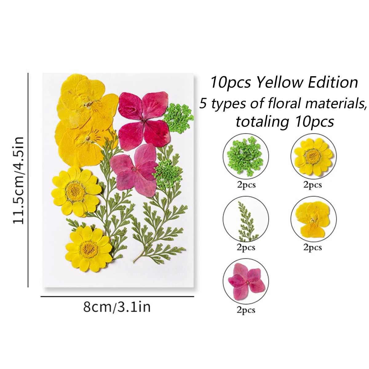 fleurs séchées plantes écologiques intérieur anniversaire baby shower exposition minimalistes cartes postales ornementales fixations