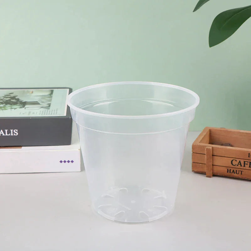 Pots semis transparents trou drainage moderne pratique couvercle