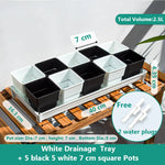 lot pot succulentes plastique blanc moderne trous drainage aération plantes maison