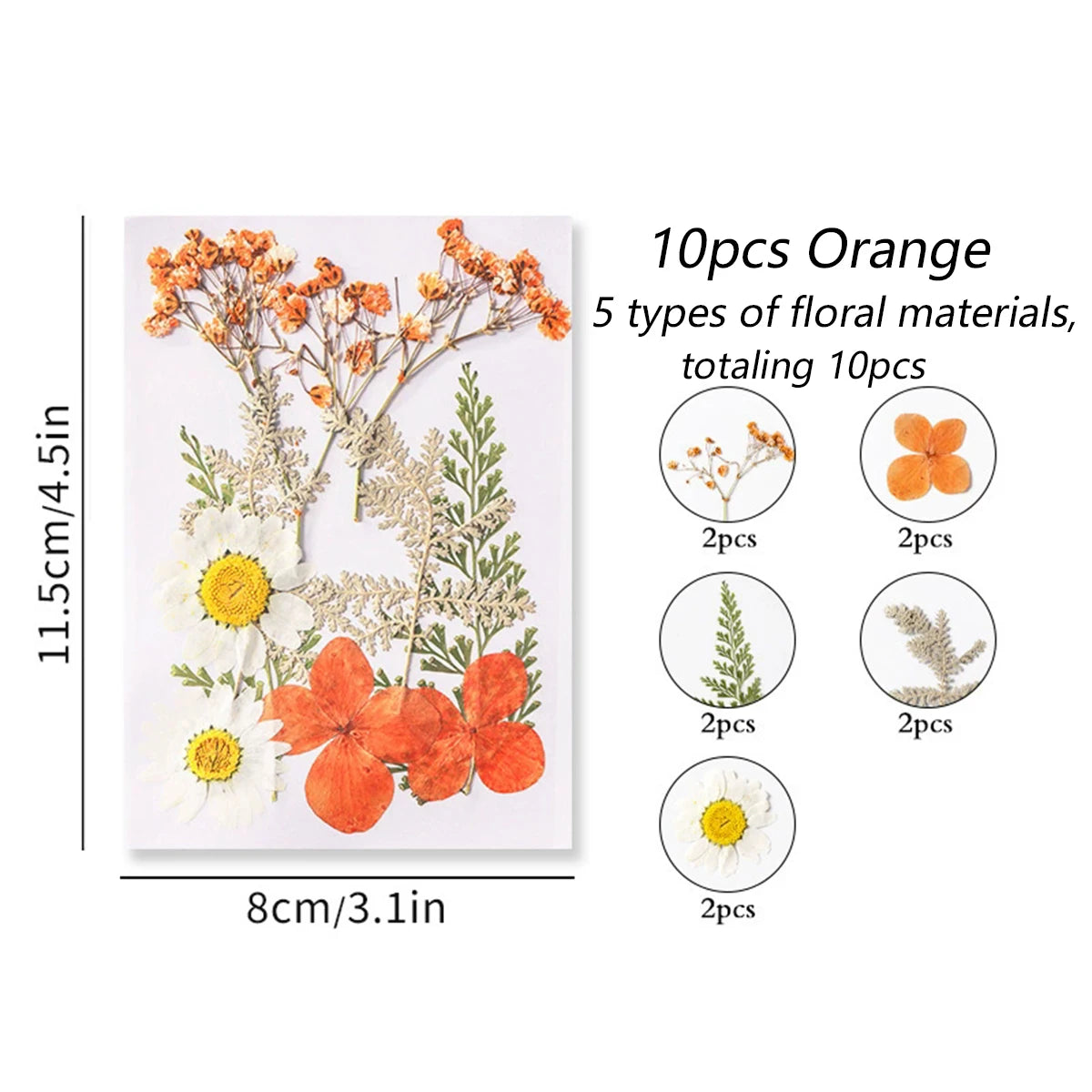 fleurs séchées plantes écologiques intérieur anniversaire baby shower exposition minimalistes cartes postales ornementales fixations