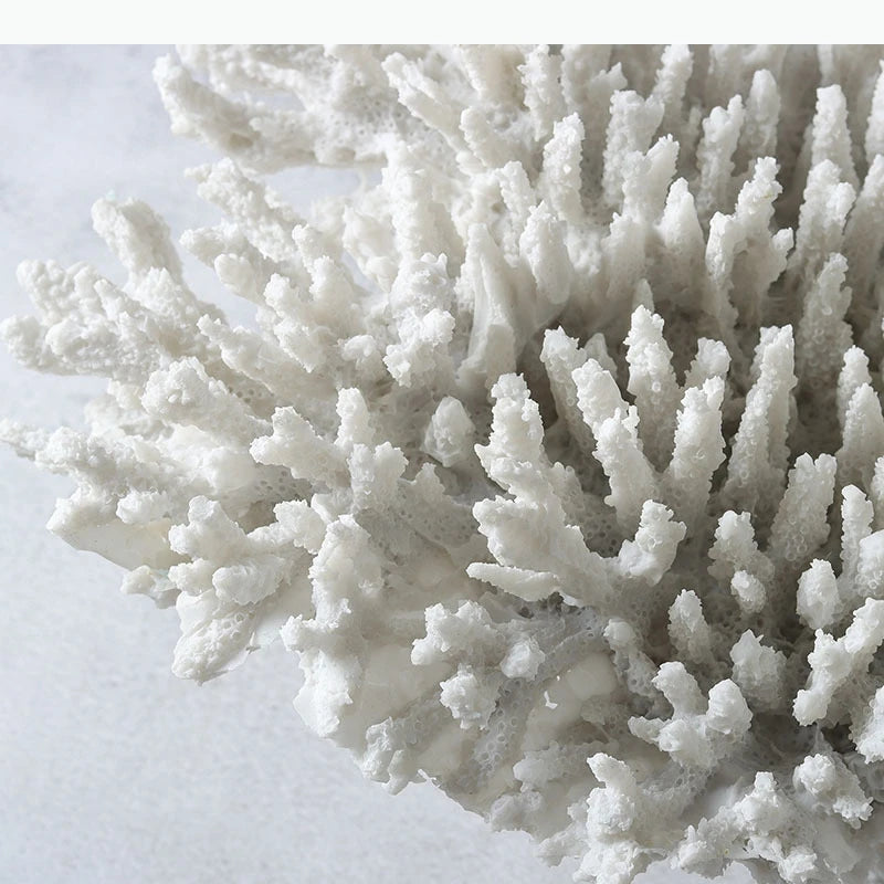 sculpture décorative corail blanc noir texture naturelle décorative sculptural base pierre noire moderne