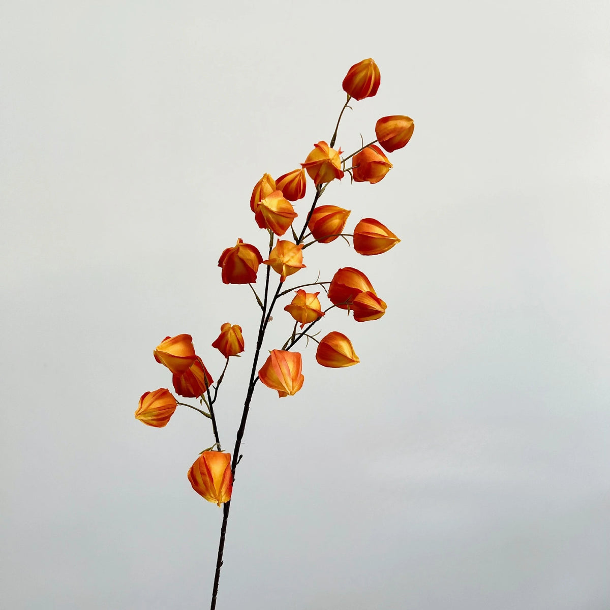 bouquet artificiel orange bleu rouge vert feuilles coeurs moderne intérieur decoration 98CM