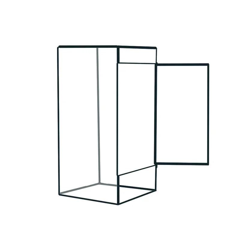 terramium verre transparent plante verte moderne naturel branchages terre inclusion