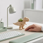 pots succulentes forme dinosaure contemporain noir blanc beige mignon plastique decoration