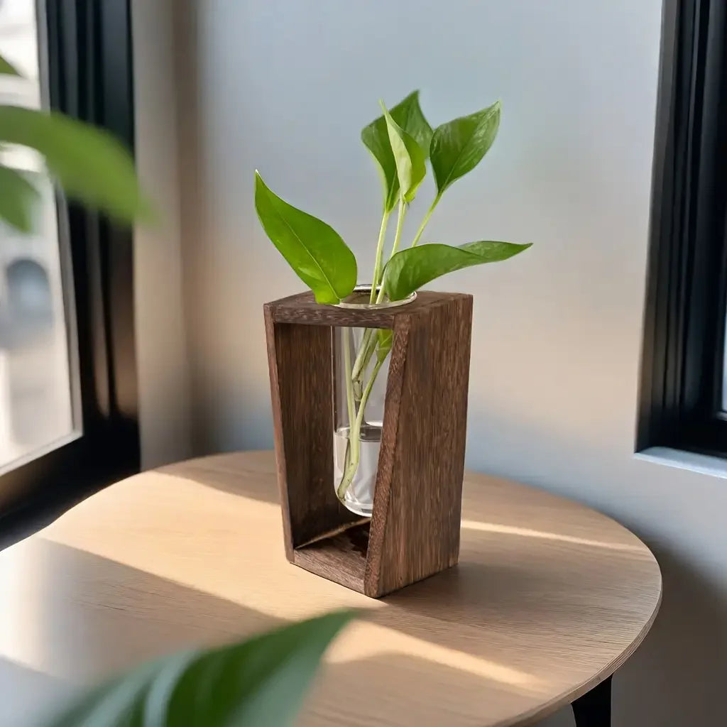 vase transparent bois marron plante verte fleurs blanches deco minimaliste moderne