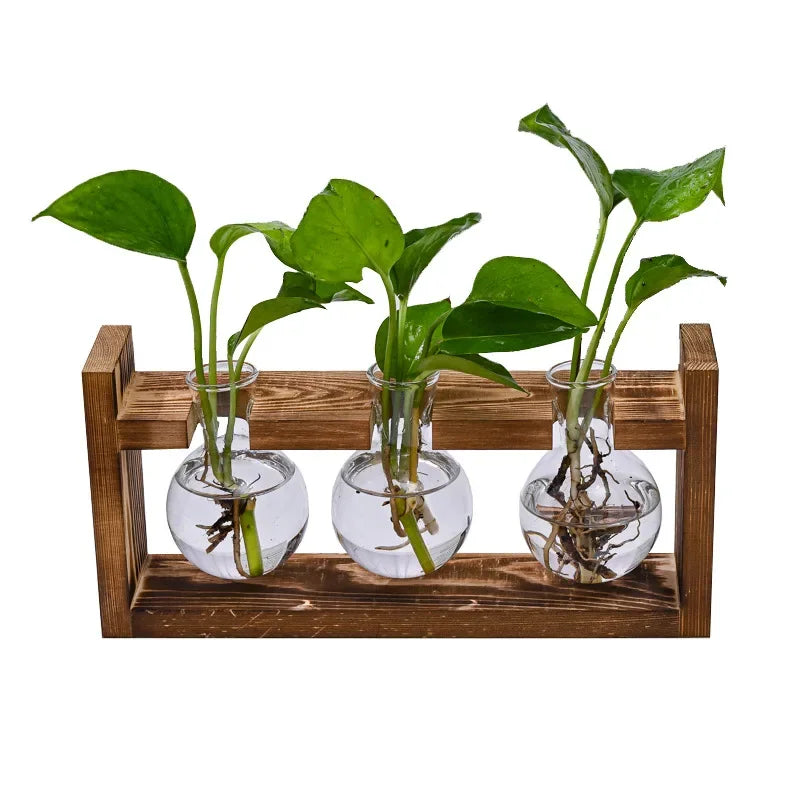 support plante bois vases verre transparent modernes plantes vertes decoration hydroponique minimaliste