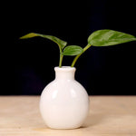 vases table bleu clair blanc vert pastel rose poterie minimaliste