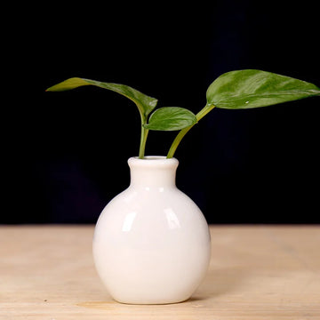 vases table bleu clair blanc vert pastel rose poterie minimaliste