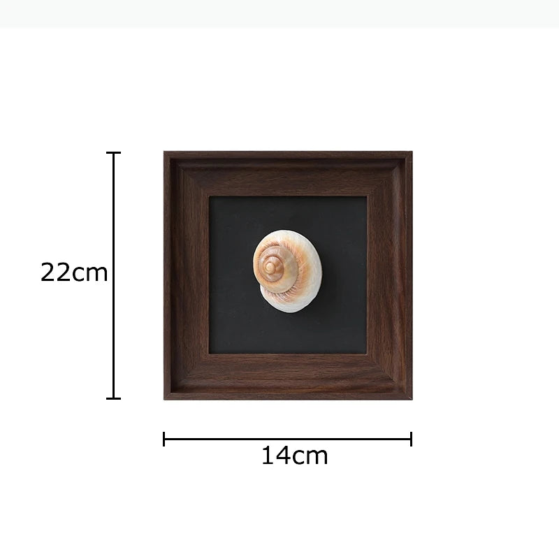 décoration murale coquilles naturelles classiques cadre brillant noir marron salon chambre affichage ornement traditionnel