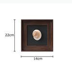 décoration murale coquilles naturelles classiques cadre brillant noir marron salon chambre affichage ornement traditionnel