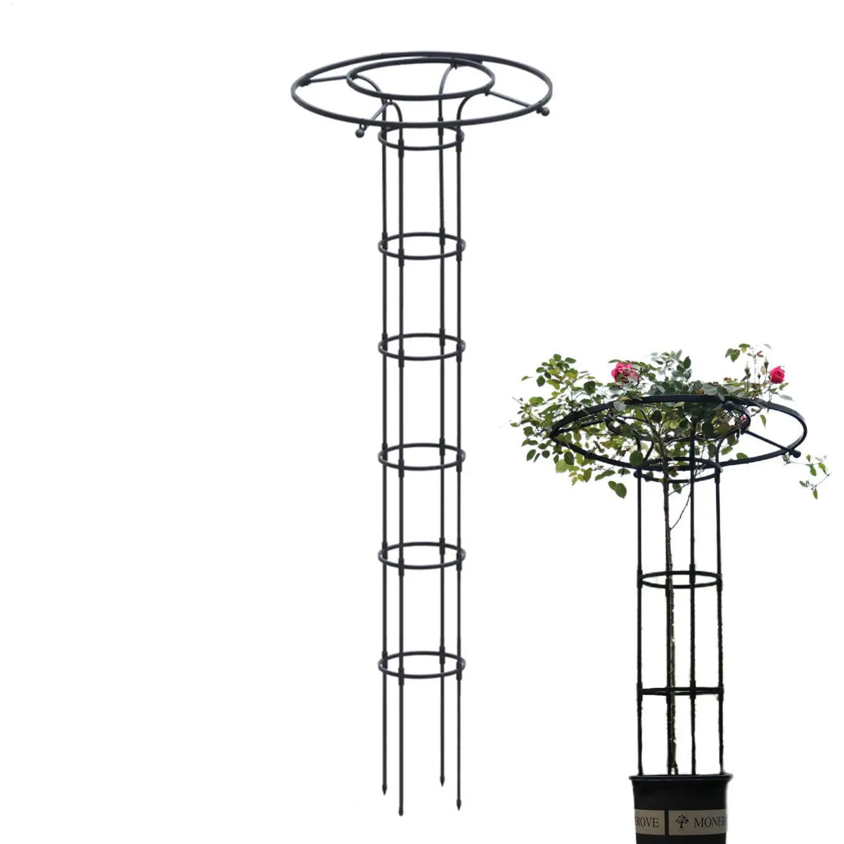 support plante grimpante métal noir structure circulaire annneau horizontal moderne jardin 150cm