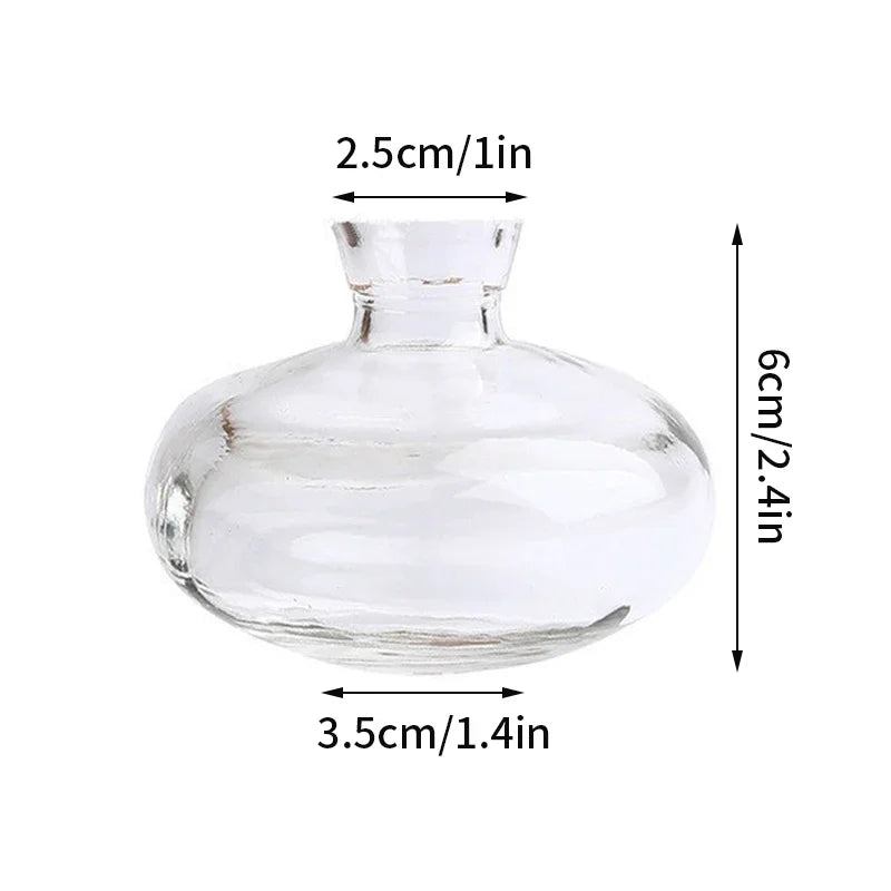 vase verre transparent moderne rose décoration intérieur hydroponique fleuri table studio