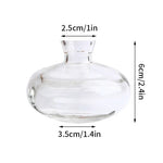 vase verre transparent moderne rose décoration intérieur hydroponique fleuri table studio