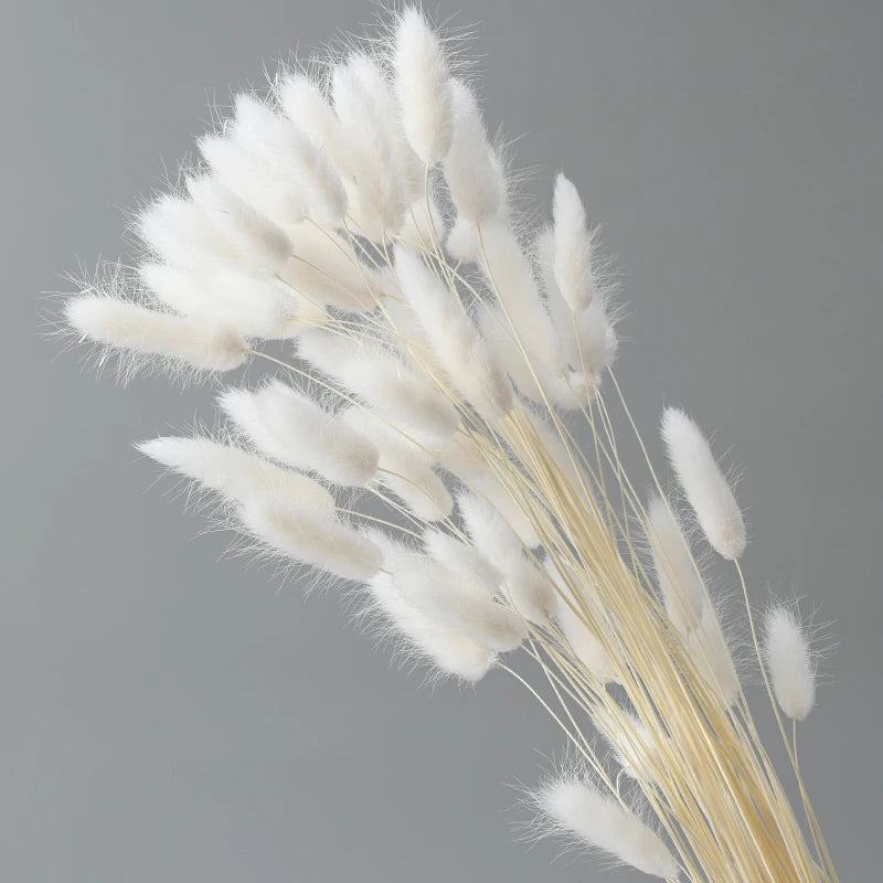 décoration intérieure bouquet fleurs sèches plumes modernes rose blanc vert pastel