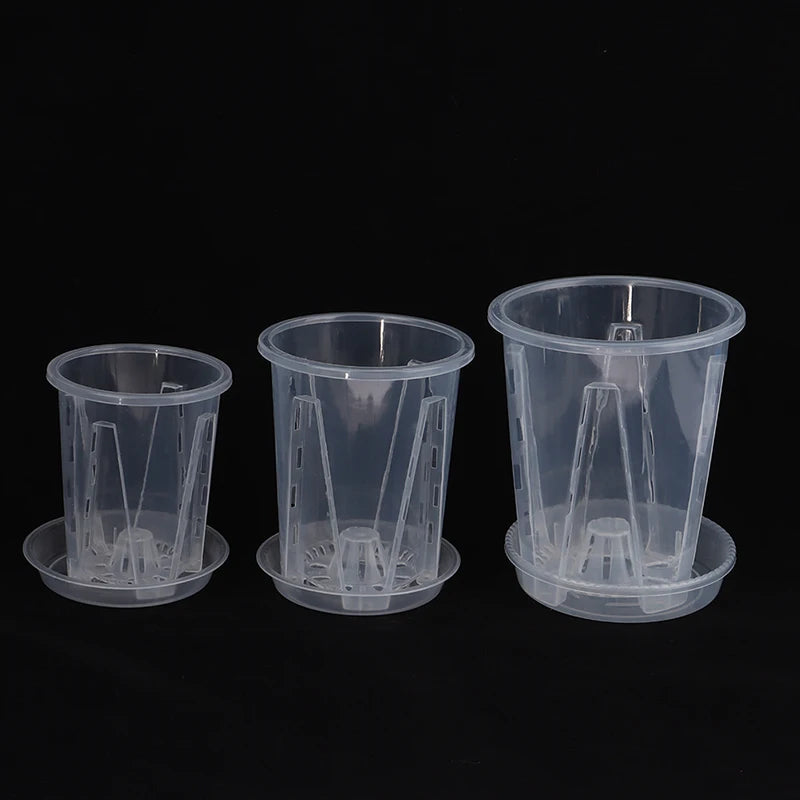 pots semis transparents modernes couvercle 10cm 12cm 14cm jardinage décoration ornemental plastique