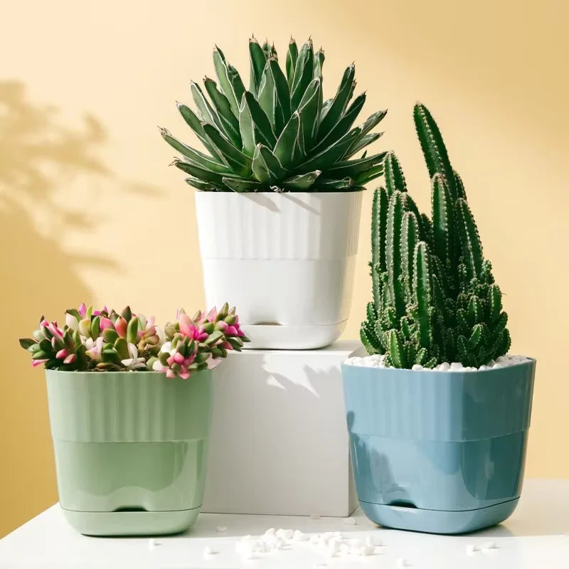 pots plante plastique moderne rayures blanc vert bleu drainage jardin intérieurextérieur