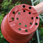 pots fleurs plastique rouge noir modernes grille drainage 9cm 10cm 11cm 12cm 13cm 14cm