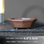 Pot bonsaï argile marron texture gréseuse motifs géométriques classique rustique fleur plante verte décoration