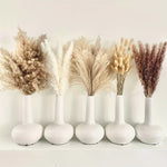 bouquet pampas séchés boho décoration intérieure beige crème marron clair fibres fines ruban vase