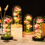 roses stabilisées bouquet guirlande lumineuse cloche verre décoration intérieure romantique anniversaire valentin engagement