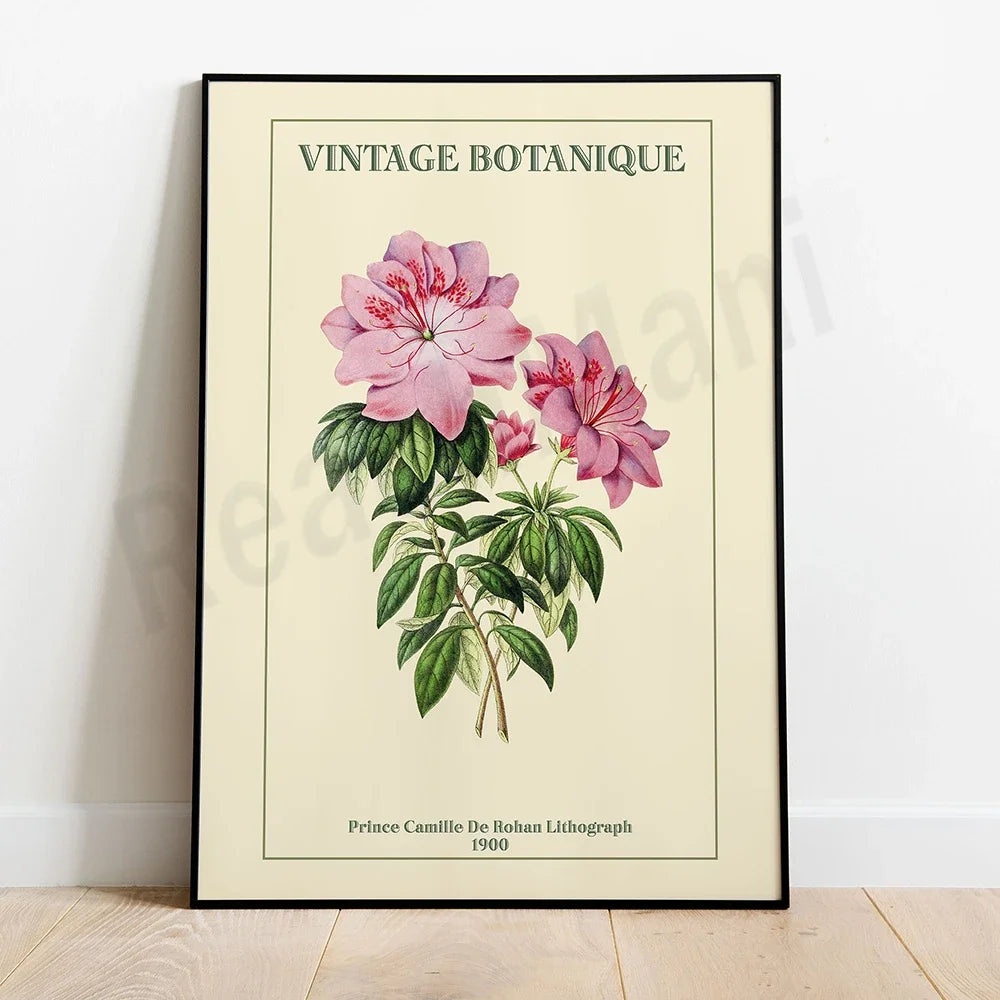 Une magnifique illustration botanique vintage représentant des fleurs roses et des feuilles vertes, créée par le Prince Camille De Rohan en 1900.
