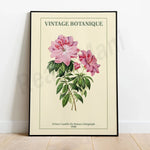 Une magnifique illustration botanique vintage représentant des fleurs roses et des feuilles vertes, créée par le Prince Camille De Rohan en 1900.