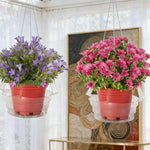 plateau suspendu cache pot transparent moderne pot fleurs crochets métalliques pratique 10 12 pouces