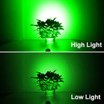 projecteur solaire led ip65 étanche moderne noir mat extérieur jardin