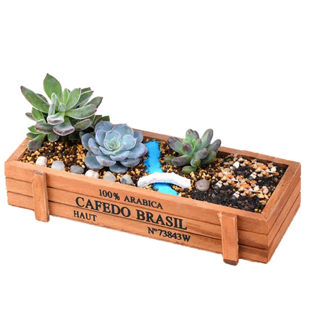 bac fleurs bois naturel bleu rustic plateaux poterie plante succulente seeds petits cailloux
