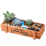 bac fleurs bois naturel bleu rustic plateaux poterie plante succulente seeds petits cailloux