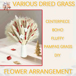 Bouquet fleurs séchées pampas blanche rouge décoration maison anniversaire boho festive