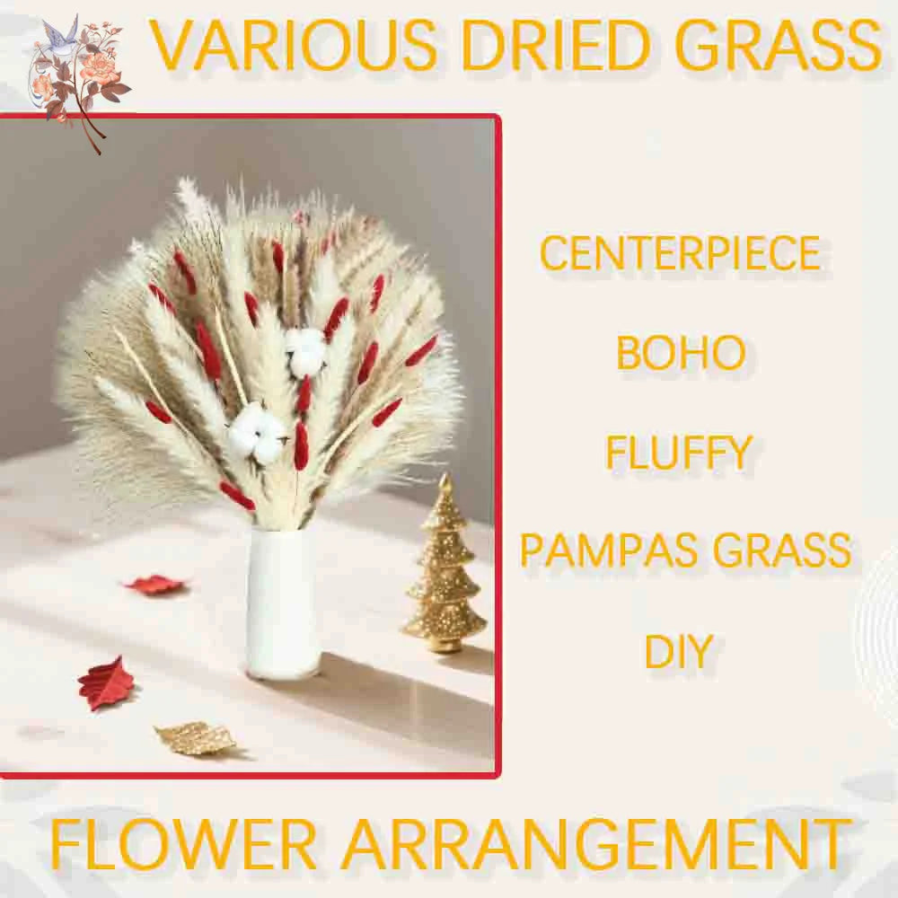 Bouquet fleurs séchées pampas blanche rouge décoration maison anniversaire boho festive