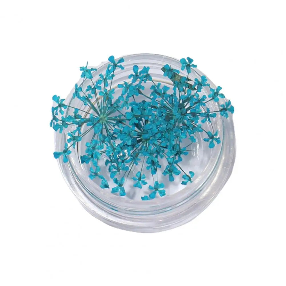 décorations nail art fleurs séchées violet rose vert rouge orange blanc naturel strass ongles