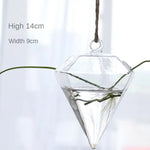 ampoules verre transparentes modernes opalescentes cordelette boutons fixation pot plantes minimaliste