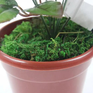 mousse artificielle verte feuillue decoration jardin pot fleurs ornement miniature base pelouse naturelle paysage