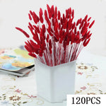 Bouquet fleurs séchées pampas blanche rouge décoration maison anniversaire boho festive
