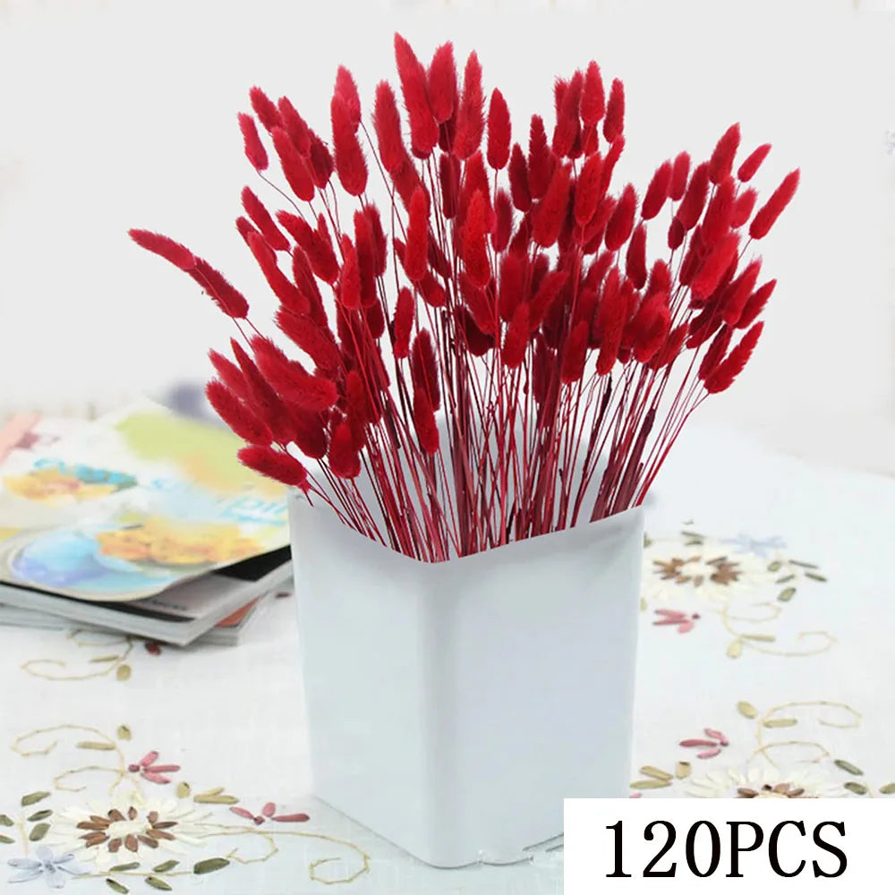 Bouquet fleurs séchées pampas blanche rouge décoration maison anniversaire boho festive