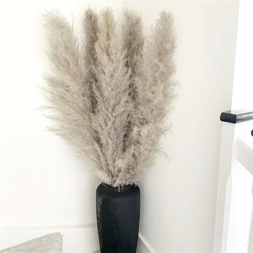 plantes séchées naturelles rustiques décoration mariage intérieur bohème fleurs séchées herbes moelleuses beige clair