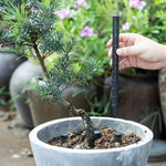 tubes aeration plantes ventilation insertion pots racines prevention excès eau blanc perforations jardinage utilitaire