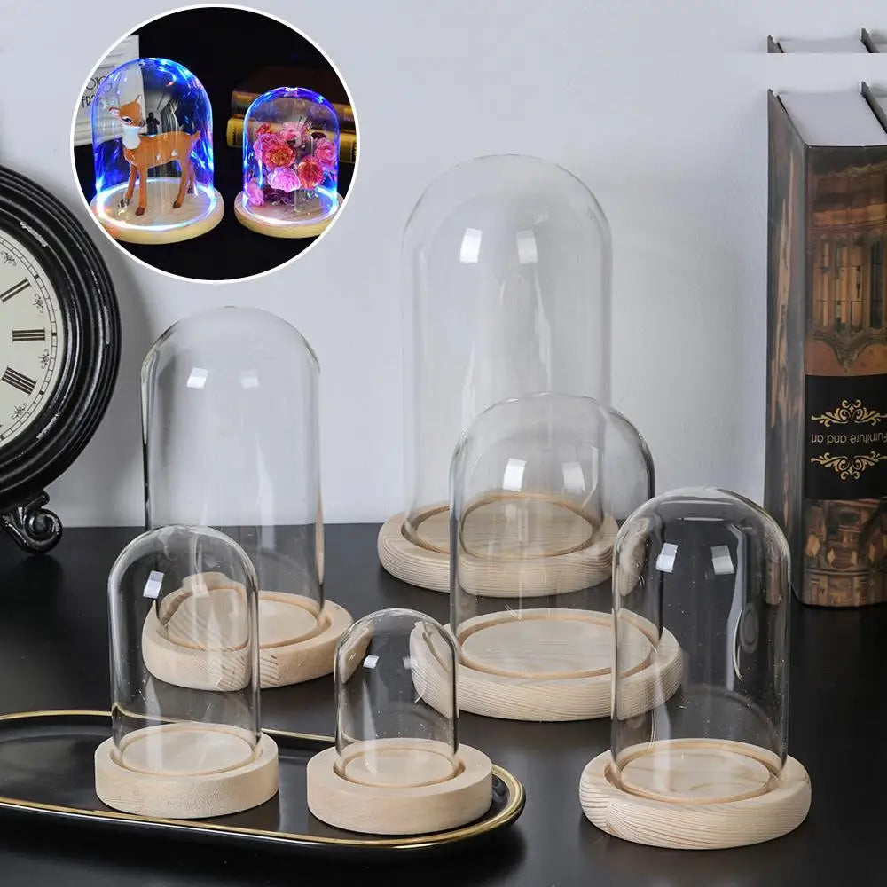 cloche verre transparente base bois fleurs artificielles fil led moderneintérieurDecorationVasePratique