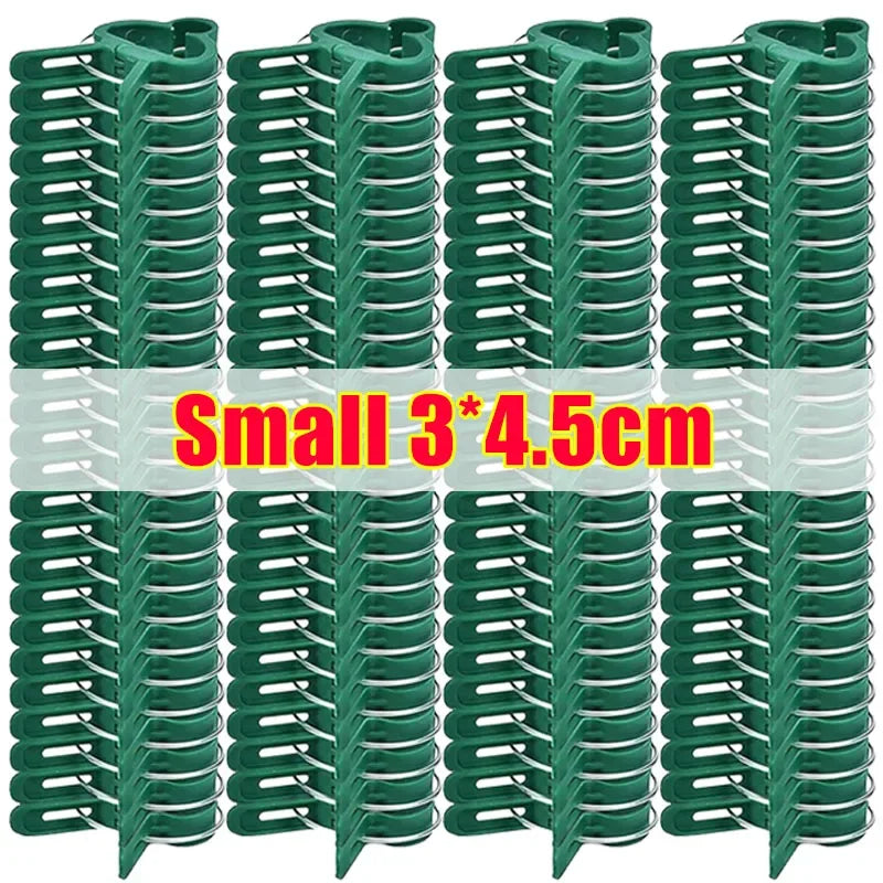 pinces végétaux support plantes serre clips verts plastique robustes fixations tomates légumes 3cm 4.5cm