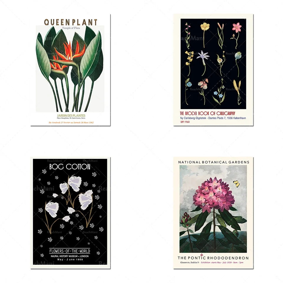 L'image présente une variété de beaux spécimens botaniques, notamment une plante reine, des fleurs de coton et un rhododendron pontique, tous illustrés avec un style artistique naturel.